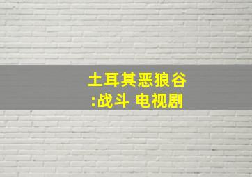 土耳其恶狼谷:战斗 电视剧